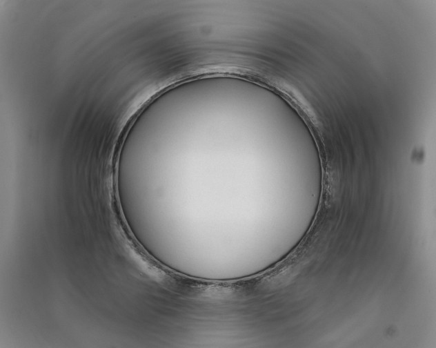 X0000090920890200708201803