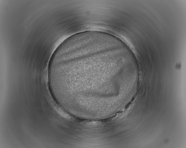 X0000090920891200708201803