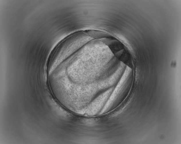 X0000090920892200708201803