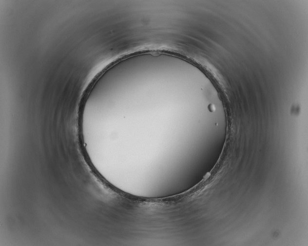 X0000090920894200708201803