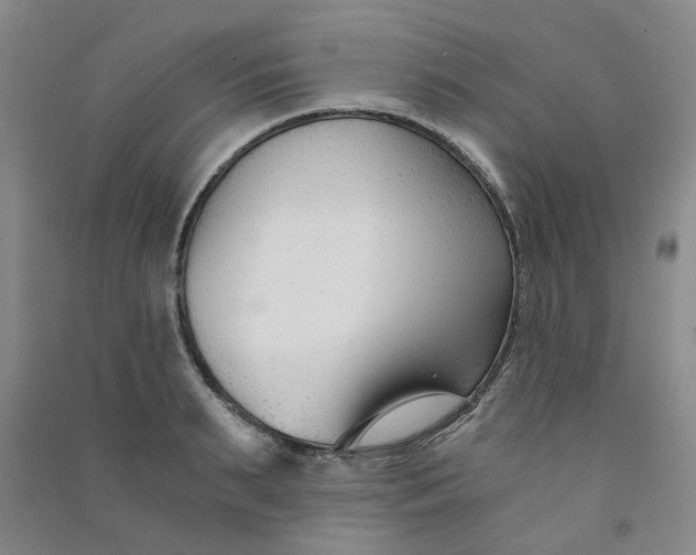 X0000090920895200708201803