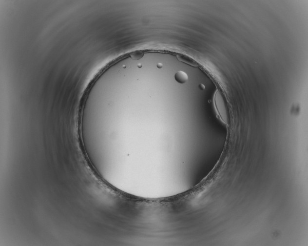 X0000090920896200708201803