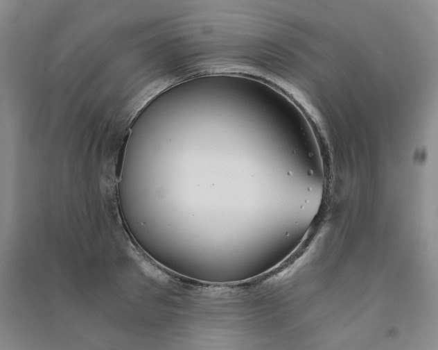 X0000090920897200708201803