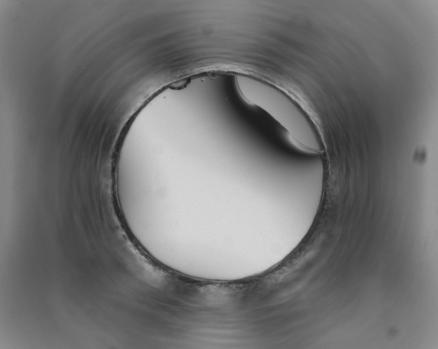 X0000090920898200708201803