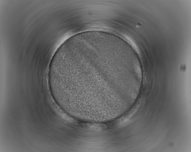 X0000090920899200708201803