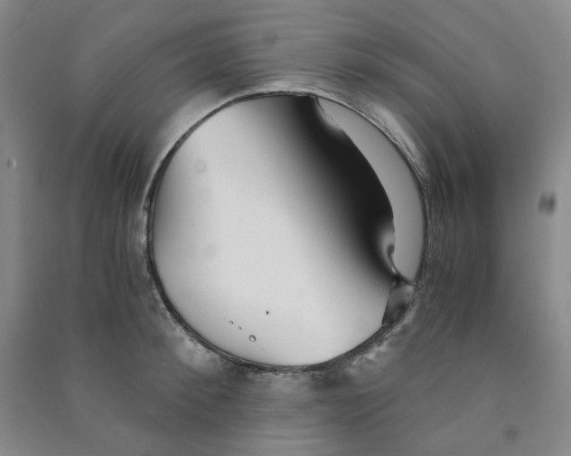 X0000090920900200708201803