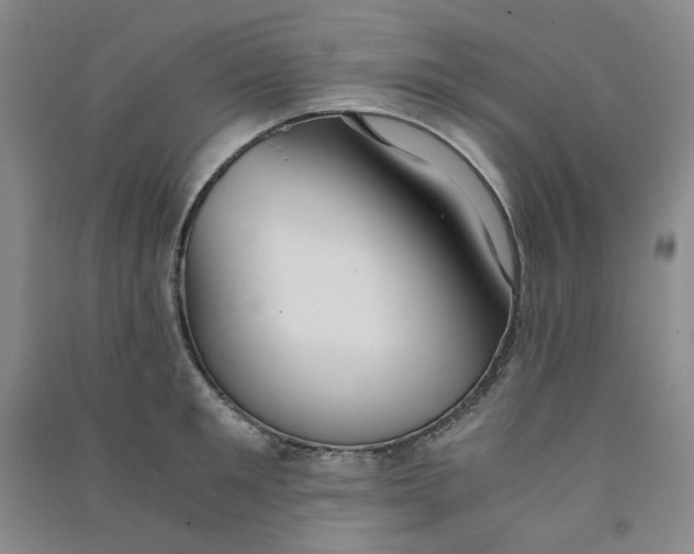 X0000090920901200708201803