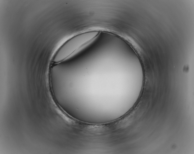 X0000090920902200708201803