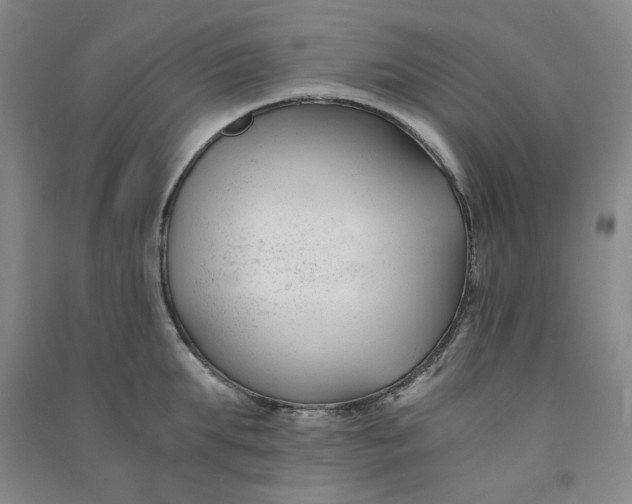 X0000090920903200708201803