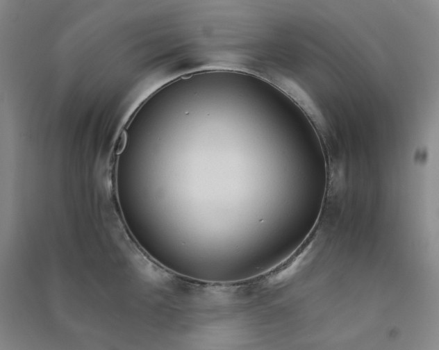 X0000090920908200708201803