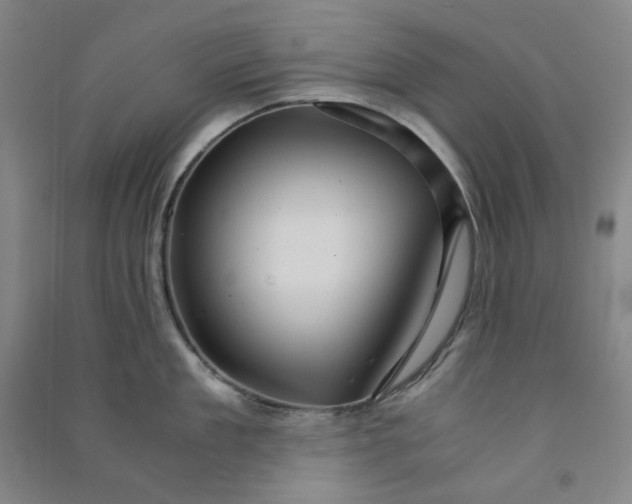 X0000090920909200708201803