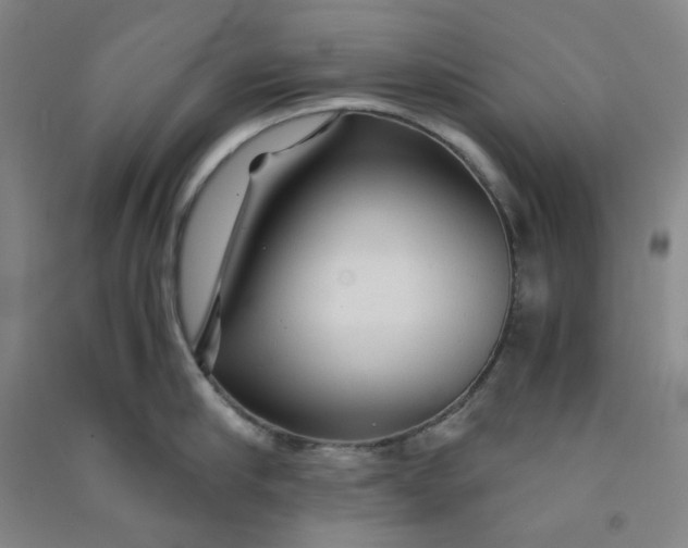 X0000090920910200708201803