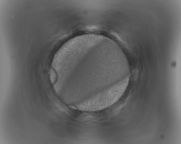 X0000090920913200708201802