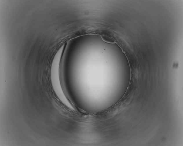 X0000090920914200708201802