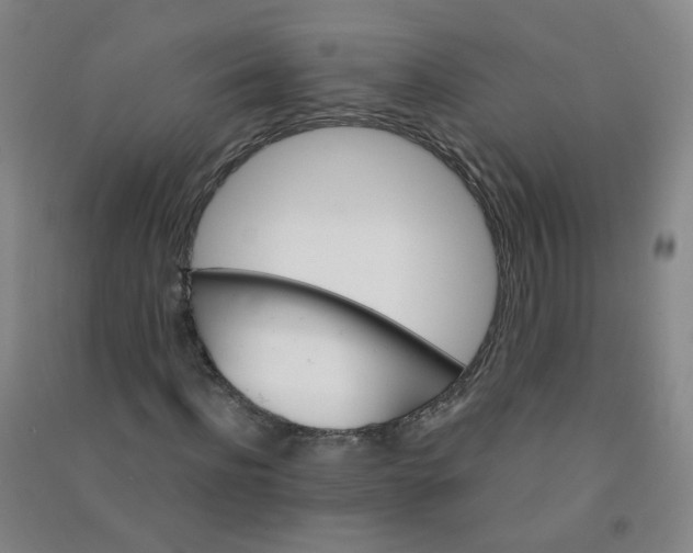 X0000090920916200708201802