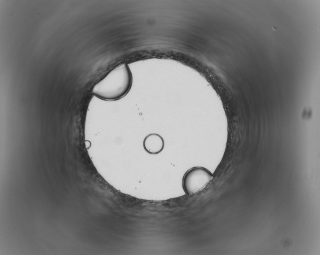 X0000090920918200708201802