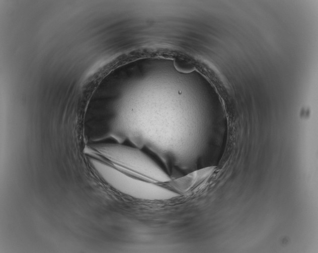 X0000090920919200708201802