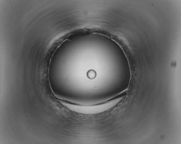 X0000090920920200708201802