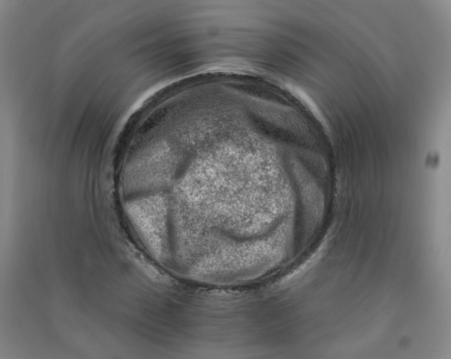 X0000090920923200708201802