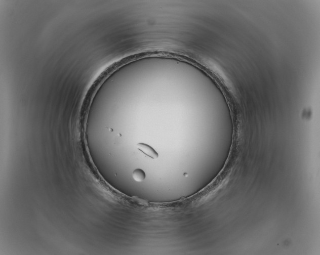 X0000090920924200708201802