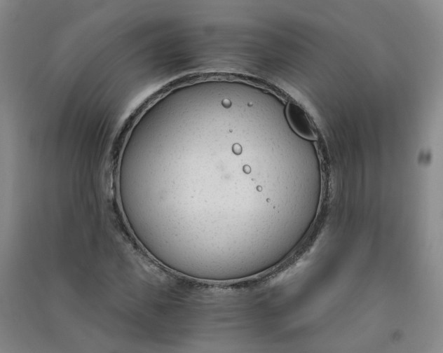 X0000090920925200708201802