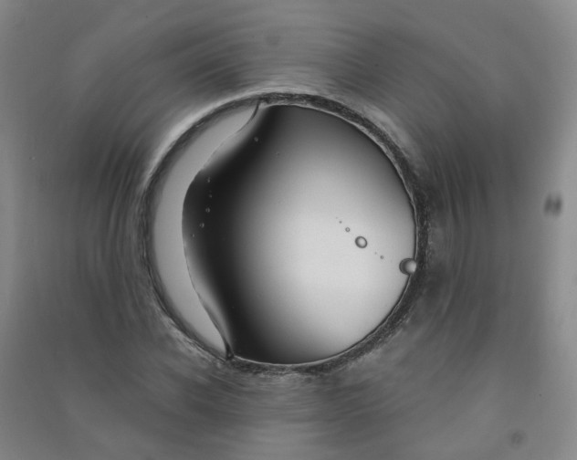 X0000090920926200708201802