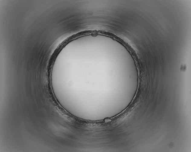 X0000090920927200708201802