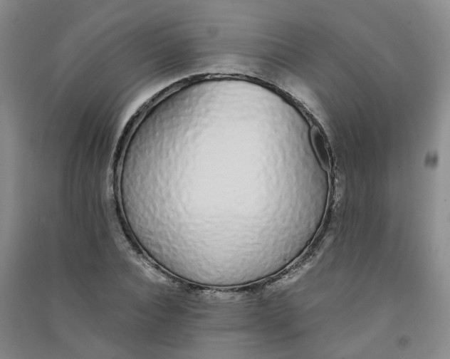 X0000090920928200708201802