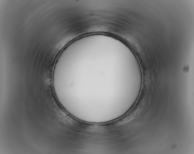 X0000090920929200708201802