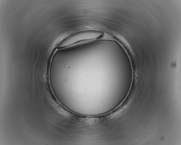 X0000090920930200708201802