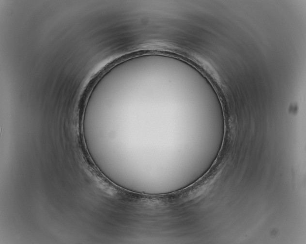 X0000090920931200708201802