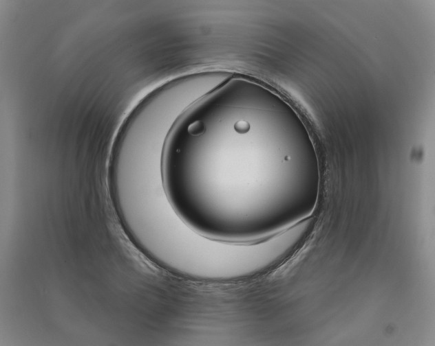 X0000090920932200708201802