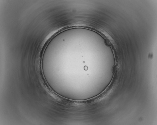 X0000090920933200708201802