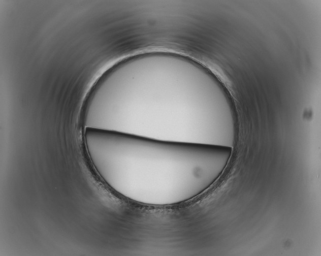 X0000090920934200708201802