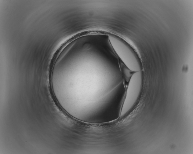 X0000090920935200708201803