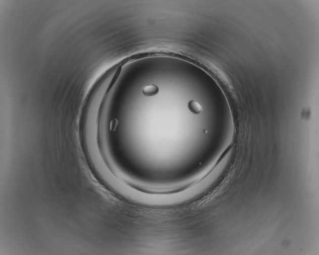 X0000090920936200708201803