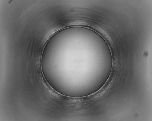 X0000090920937200708201803