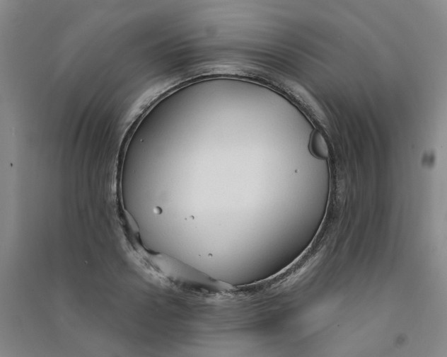 X0000090920938200708201803