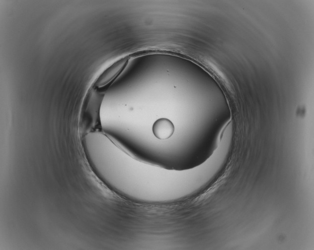 X0000090920940200708201803