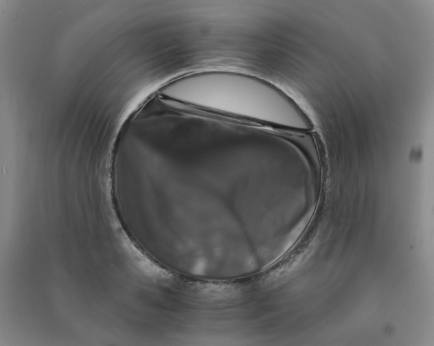 X0000090920941200708201803