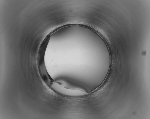 X0000090920942200708201803