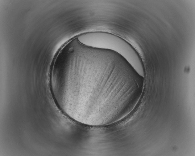 X0000090920944200708201803