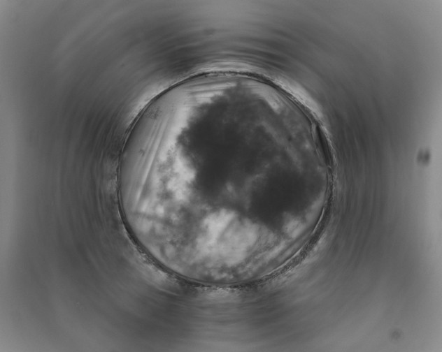 X0000090920945200708201803