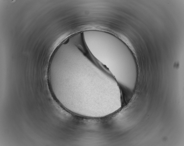 X0000090920946200708201803