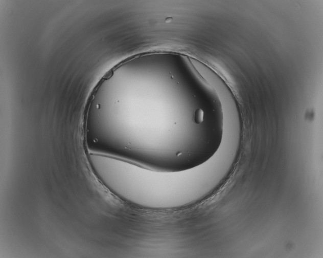 X0000090920948200708201803