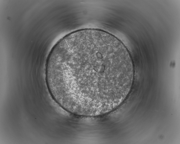 X0000090920950200708201803