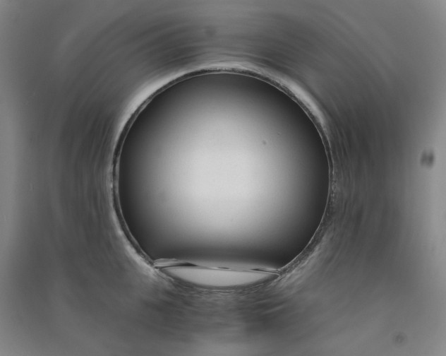 X0000090920951200708201803