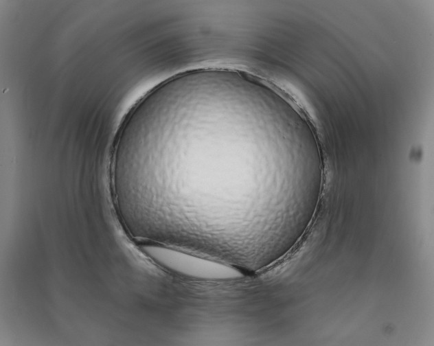 X0000090920952200708201803