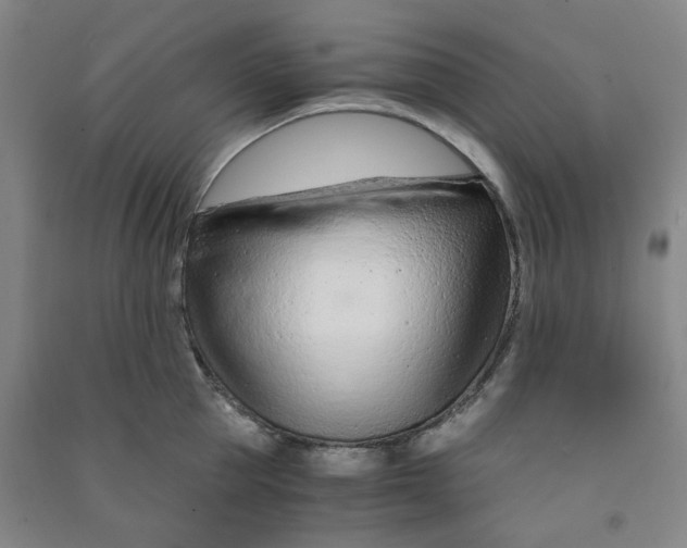 X0000090920953200708201803