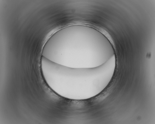 X0000090920954200708201803